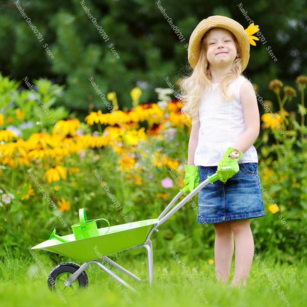 Carrinho de Mão Infantil para  - Kids Outdoor Garden avaliação e preço